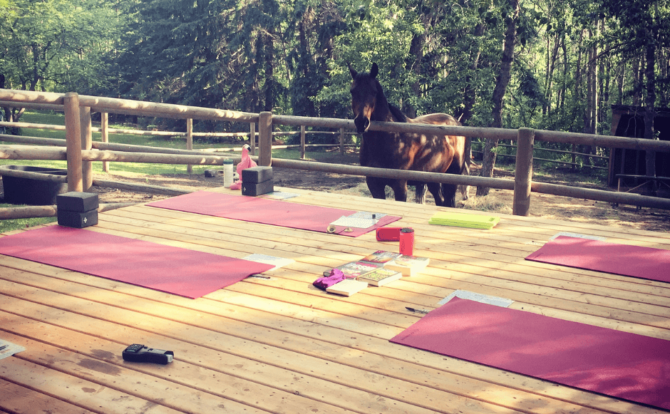 the backyard yogini deck